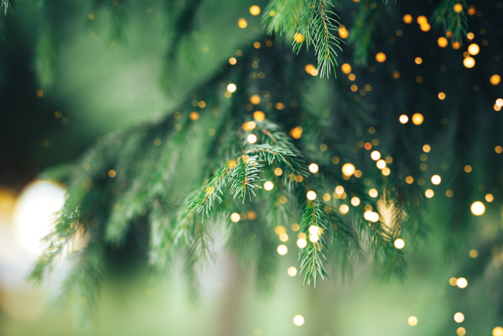 Detail kerstboom met lichtjes